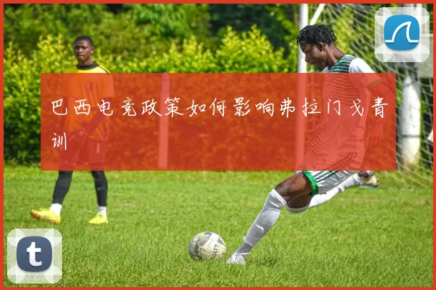 巴西电竞政策如何影响弗拉门戈青训