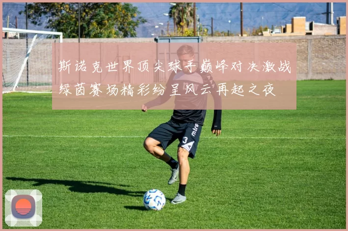 斯诺克世界顶尖球手巅峰对决激战绿茵赛场精彩纷呈风云再起之夜