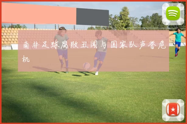 南非足球腐败丑闻与国家队声誉危机