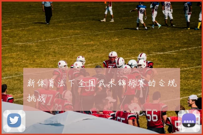 新体育法下全国武术锦标赛的合规挑战