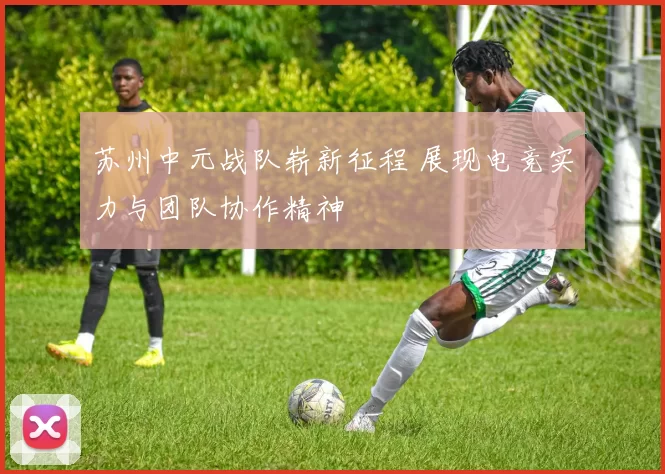 苏州中元战队崭新征程 展现电竞实力与团队协作精神