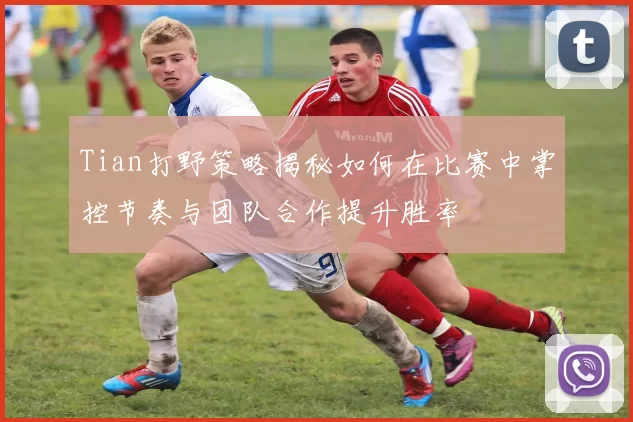 Tian打野策略揭秘如何在比赛中掌控节奏与团队合作提升胜率