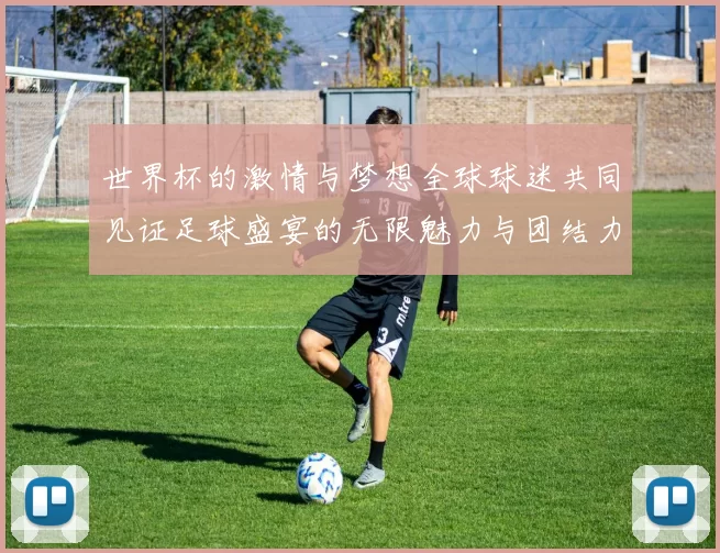 世界杯的激情与梦想全球球迷共同见证足球盛宴的无限魅力与团结力量