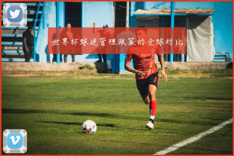 世界杯球迷管理政策的全球对比